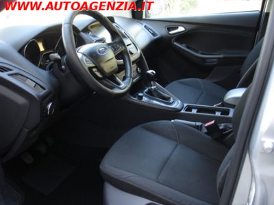 Ford Focus 1.5 TDCi 120 CV Start&Stop Business (12)