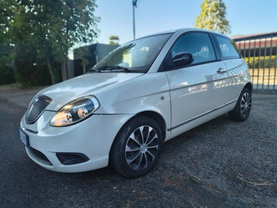 Lancia Ypsilon 1.3 MJT 75 CV Platinum (3)