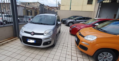 Fiat Panda 1.2 Lounge usata