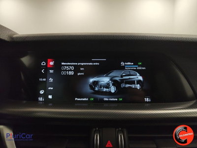 Alfa Romeo Stelvio Stelvio 2.2 Turbodiesel 210 CV AT8 Q4 Veloce (15)