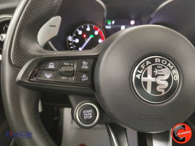 Alfa Romeo Stelvio Stelvio 2.2 Turbodiesel 210 CV AT8 Q4 Veloce (18)