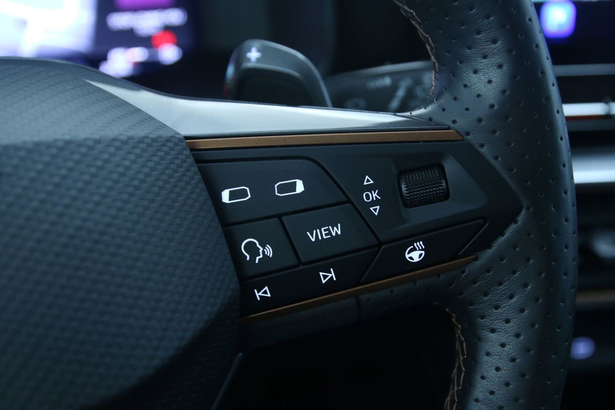 Cupra Formentor Formentor 1.4 e-Hybrid DSG (20)