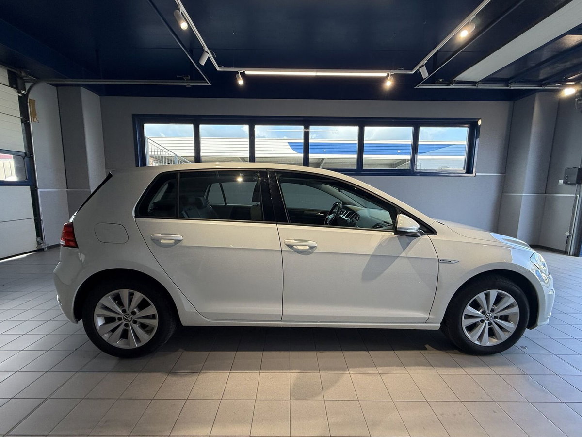 Volkswagen Golf 1.5 TGI 5p. Executive BlueMotion Technology (6)