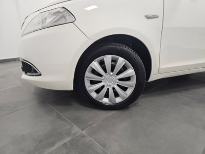 Lancia Ypsilon 1.2 69 CV 5 porte Platinum (18)