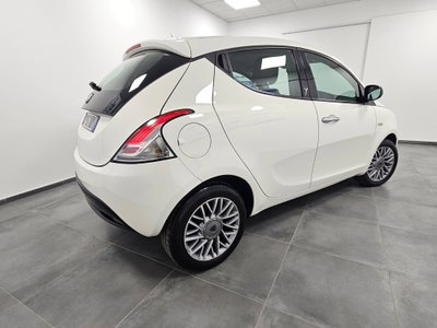 Lancia Ypsilon 1.2 69 CV 5 porte Platinum (4)