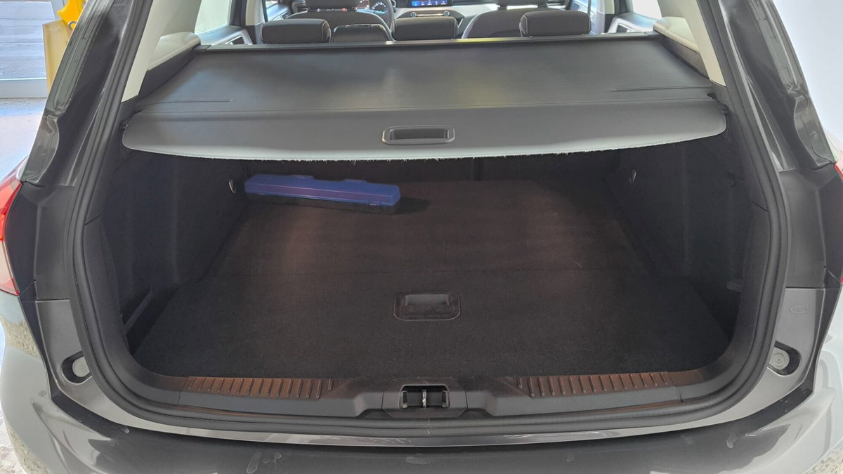 Ford Focus Station Wagon 1.5 EcoBlue 120 CV automatico SW Business Co-Pilot (10)