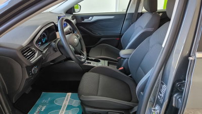 Ford Focus Station Wagon 1.5 EcoBlue 120 CV automatico SW Business Co-Pilot (13)
