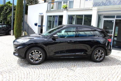 Ford Kuga 2.0 EcoBlue 190 CV aut. AWD ST-Line X (2)