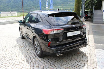 Ford Kuga 2.0 EcoBlue 190 CV aut. AWD ST-Line X (3)
