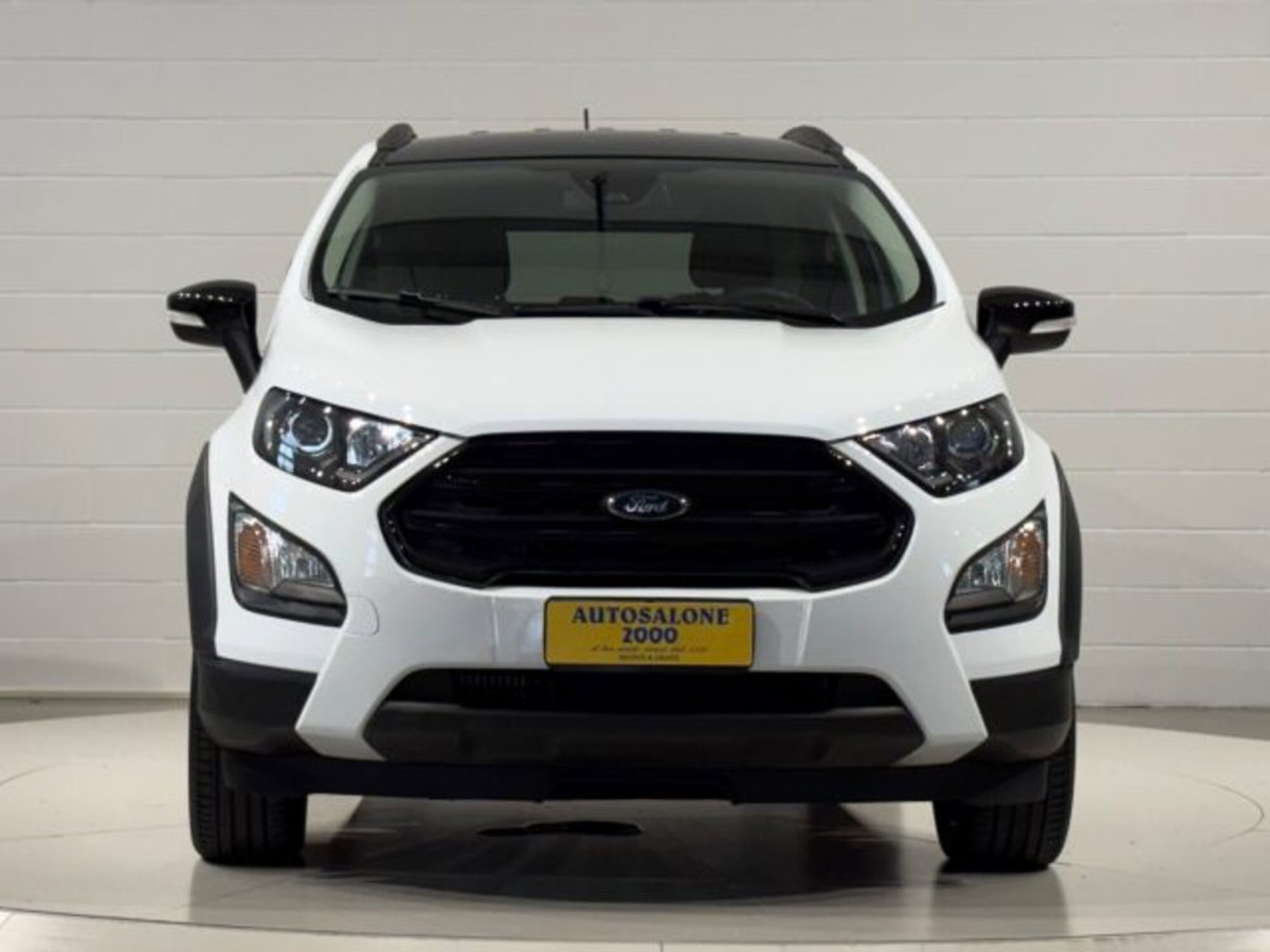 Ford EcoSport 1.0 EcoBoost 125 CV Start&Stop Active (8)