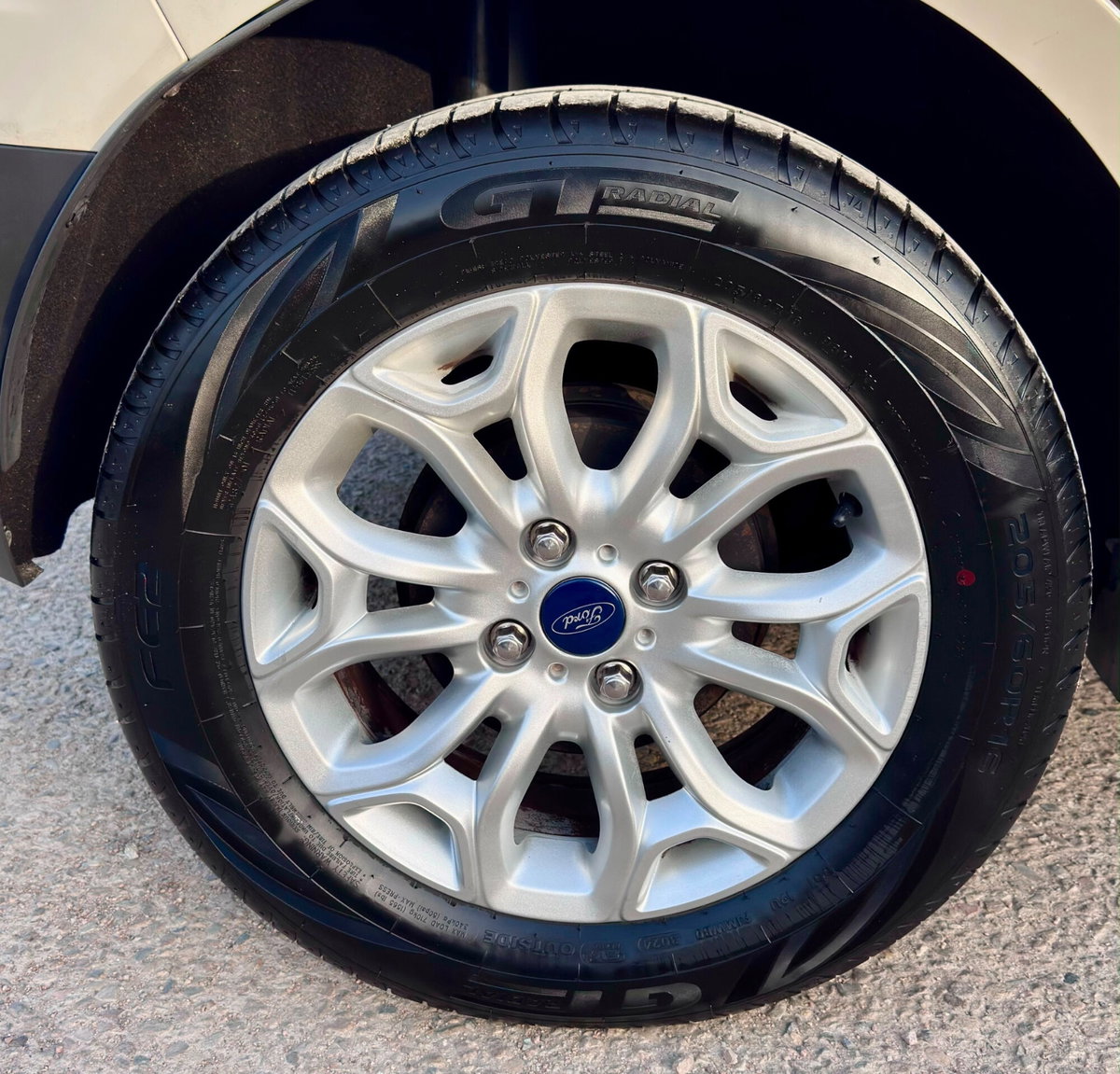 Ford EcoSport 1.5 TDCi 95 CV Titanium S (9)