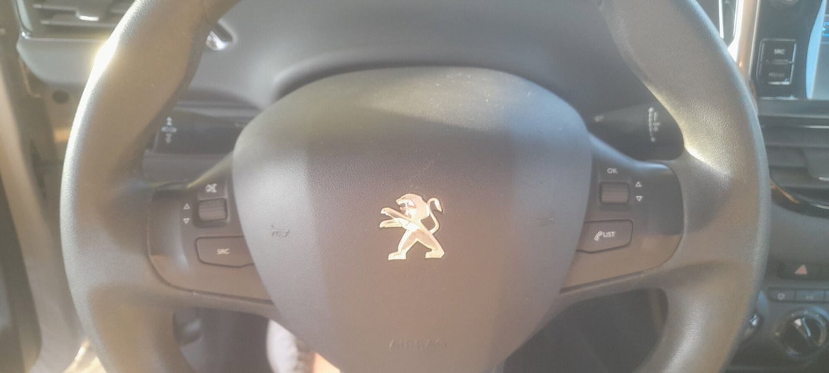 Peugeot 208 82 5p. GPL Active (8)