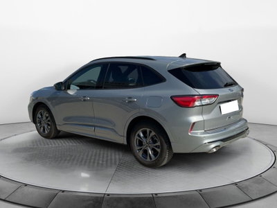 Ford Kuga 2.0 EcoBlue 120 CV aut. 2WD ST-Line X (3)