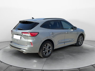 Ford Kuga 2.0 EcoBlue 120 CV aut. 2WD ST-Line X (5)