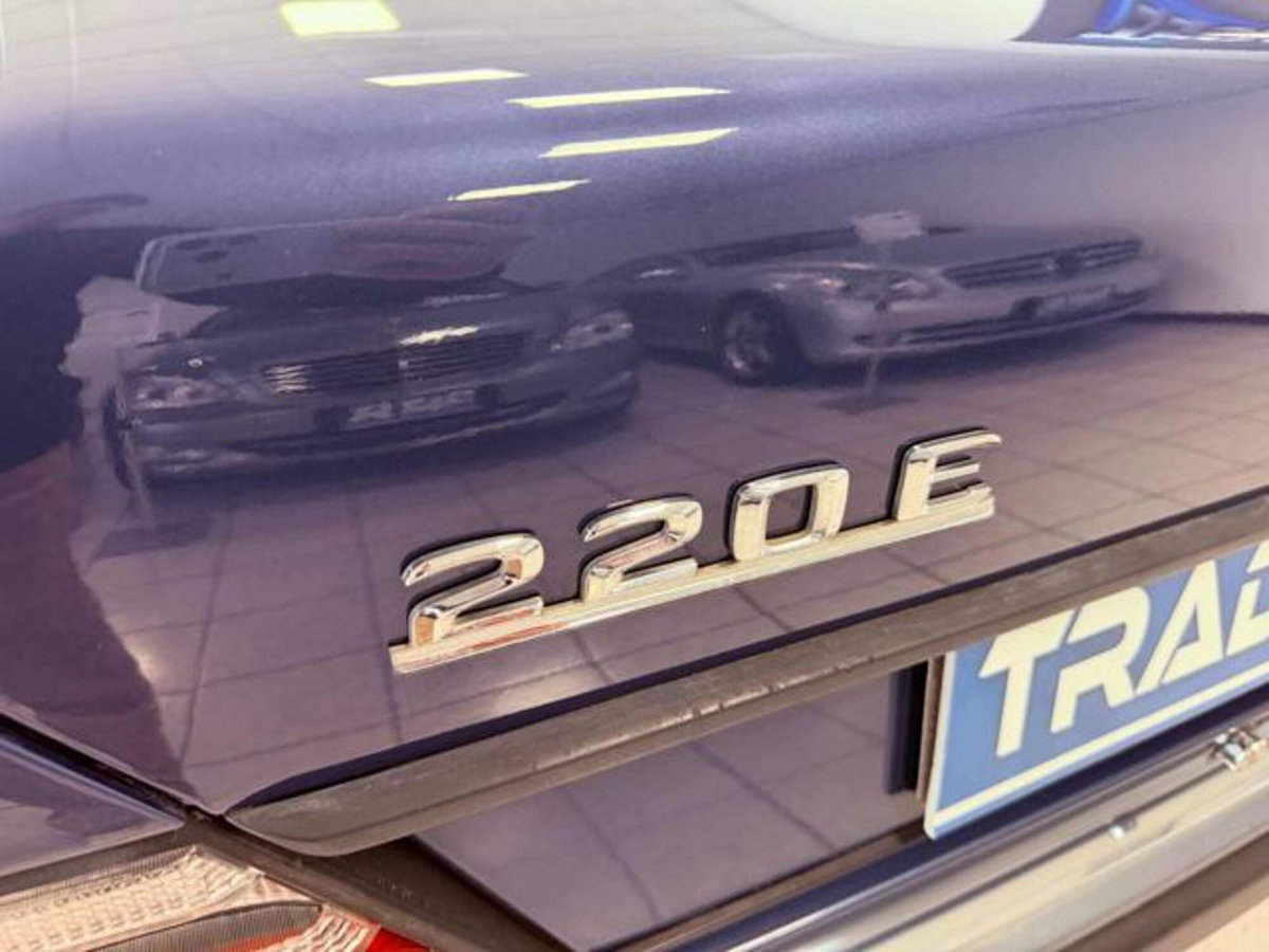 Mercedes-Benz Classe E 220 cat (14)