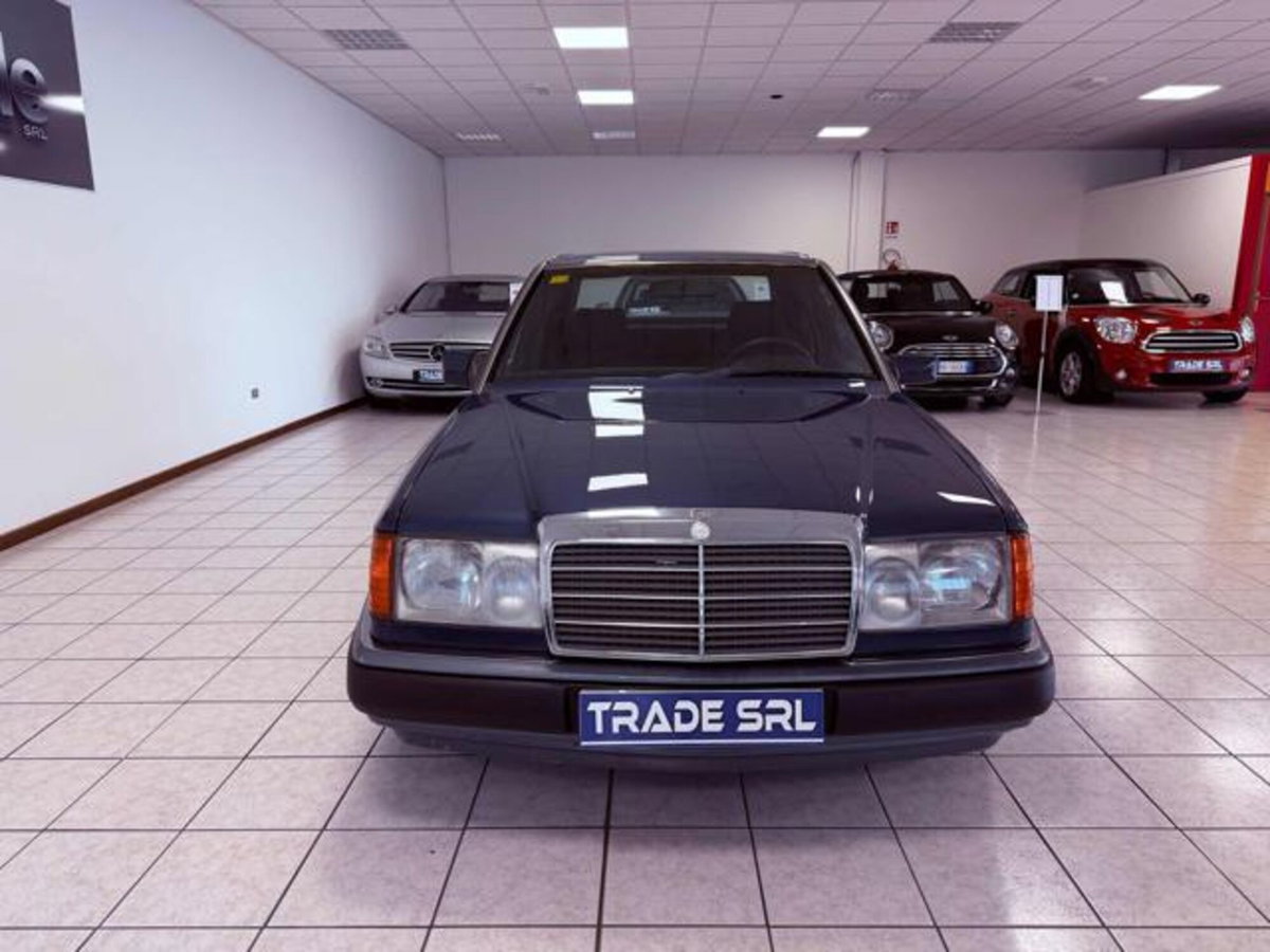 Mercedes-Benz Classe E 220 cat (3)