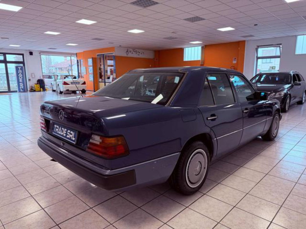 Mercedes-Benz Classe E 220 cat (5)