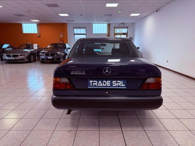 Mercedes-Benz Classe E 220 cat (6)