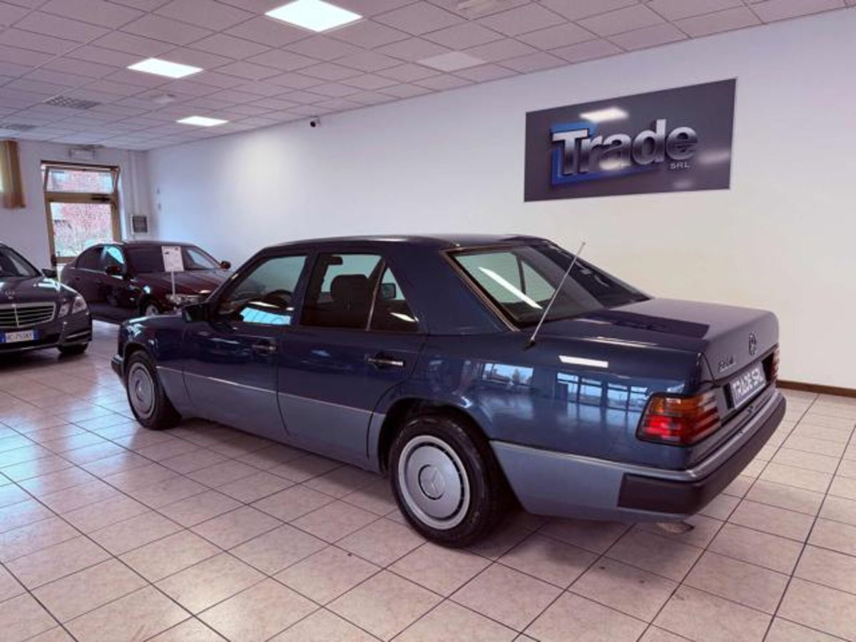 Mercedes-Benz Classe E 220 cat (7)