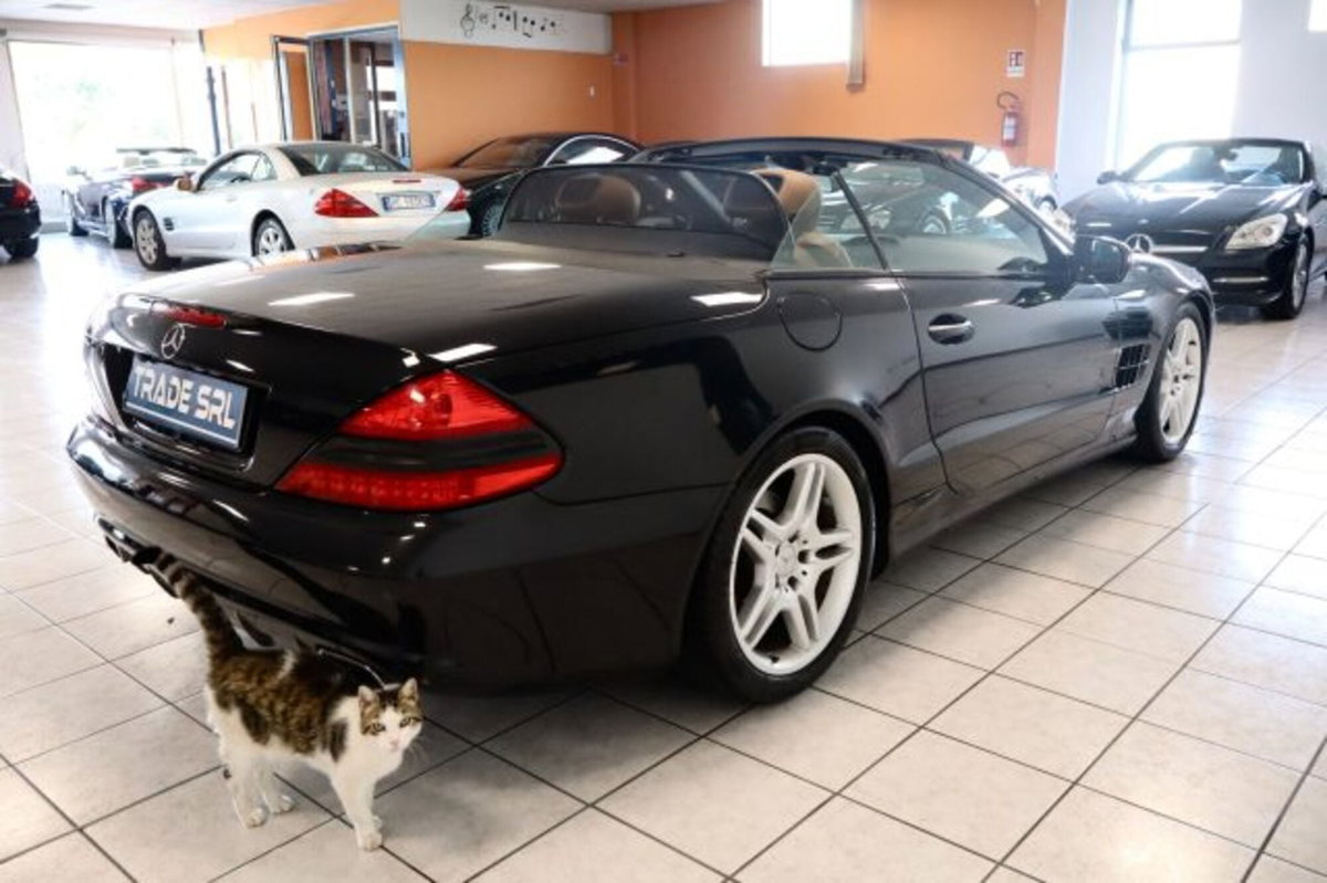 Mercedes-Benz SL 350 cat Sport (6)