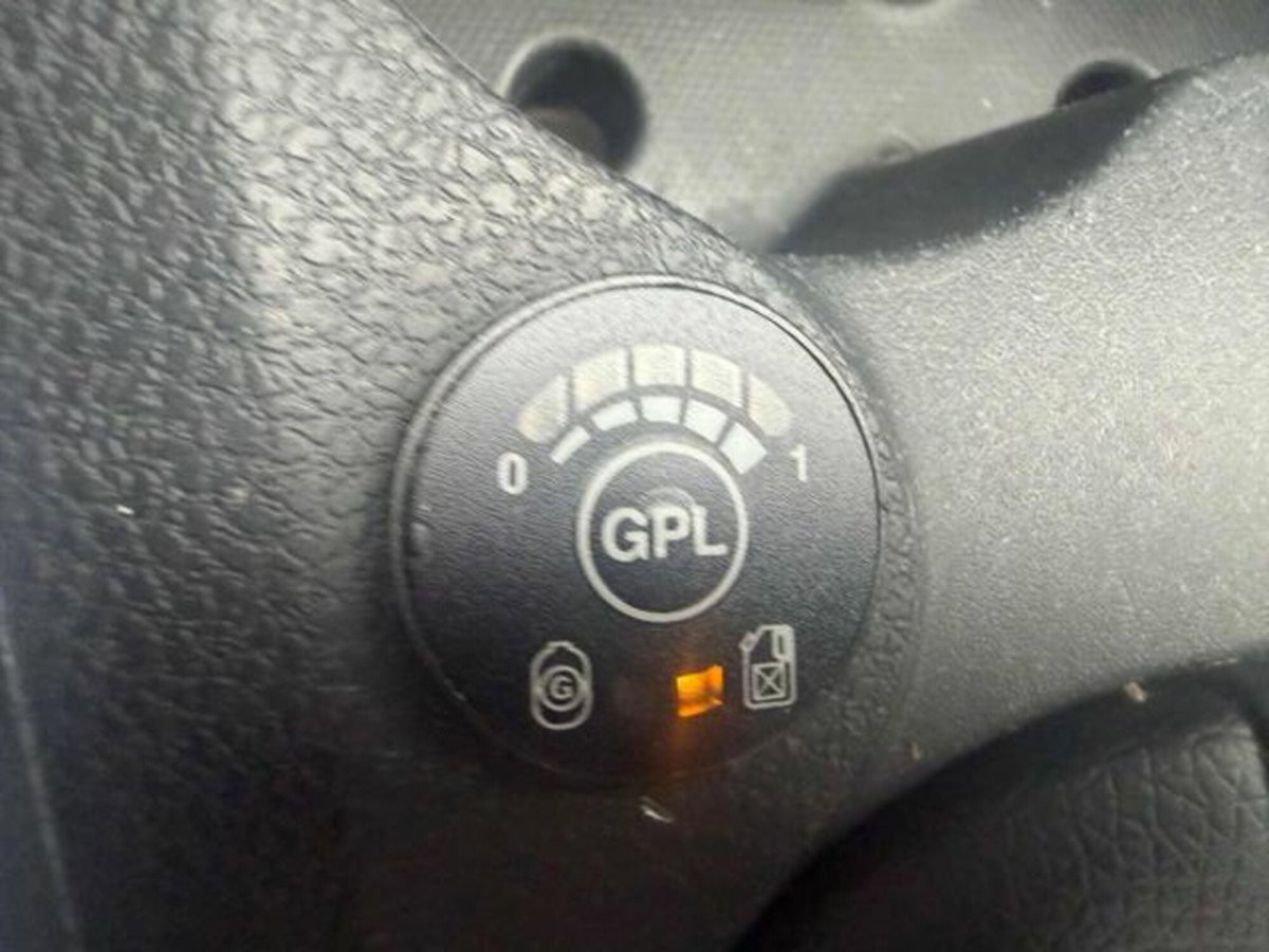 Dacia Sandero Stepway 0.9 TCe 12V TurboGPL 90CV Start&Stop (14)