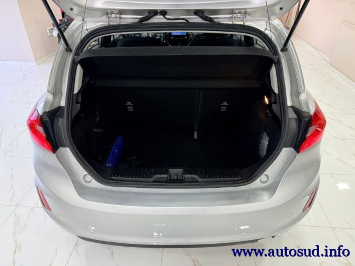 Ford Fiesta 1.5 EcoBlue 5 porte Business High (17)
