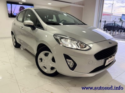 Ford Fiesta 1.5 EcoBlue 5 porte Business High (19)