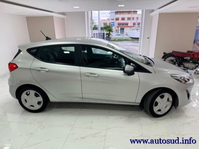 Ford Fiesta 1.5 EcoBlue 5 porte Business High (7)