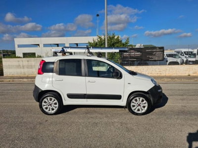 Fiat Panda 1.3 MJT S&S 4x4 Pop Climbing Van 2 posti (4)
