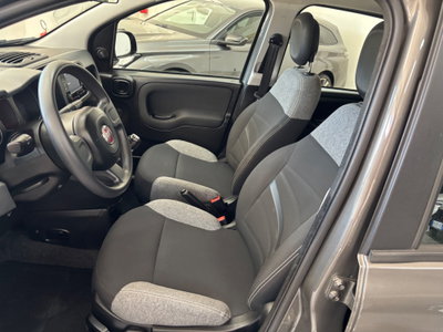 Fiat Panda 1.0 FireFly S&S Hybrid Garmin (8)