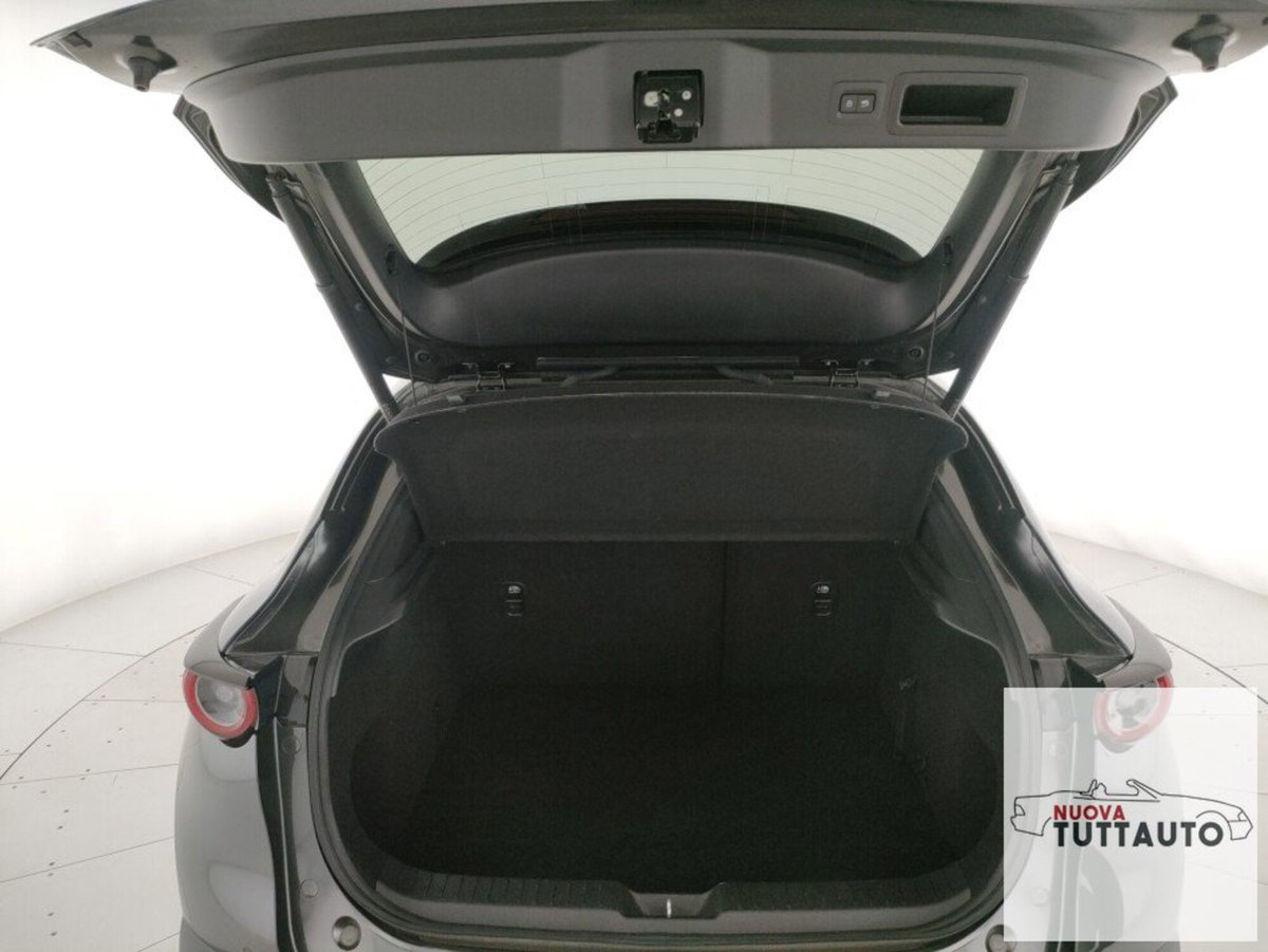 Mazda CX-30 Skyactiv-X M Hybrid 2WD Exceed (12)