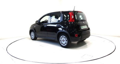 Fiat Panda 1.0 firefly hybrid s&s 70cv (15)