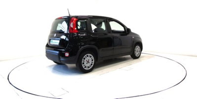 Fiat Panda 1.0 firefly hybrid s&s 70cv (18)
