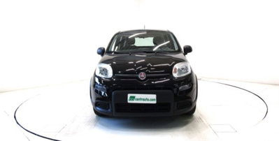 Fiat Panda 1.0 firefly hybrid s&s 70cv (2)