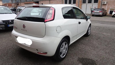Fiat Punto 1.3 MJT 85CV S&S 5 porte Van Easy 4 posti E5+ (12)