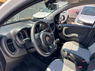 Fiat Panda Cross 1.0 firefly hybrid Cross s&s 70cv 5p.ti (13)