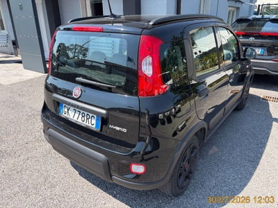 Fiat Panda 1.0 FireFly S&S Hybrid City Life (3)