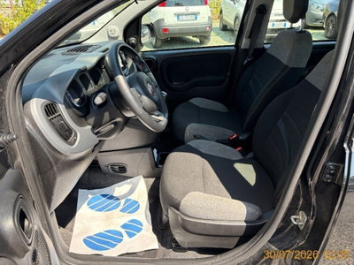 Fiat Panda 1.0 FireFly S&S Hybrid City Life (5)