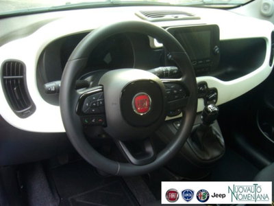 Fiat Panda Cross 1.0 firefly hybrid Cross s&s 70cv 5p.ti (15)