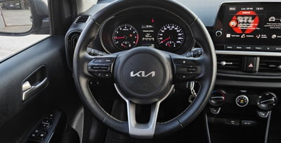 Kia Picanto 1.0 12V 5 porte X Line (14)