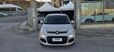 Fiat Panda 1.2 Easy (2)