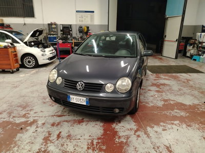 Volkswagen Polo 1.4 TDI 5p. Comfortline usata