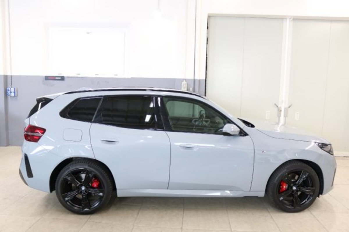 BMW X3 xdrive20d MSport Pro auto (7)