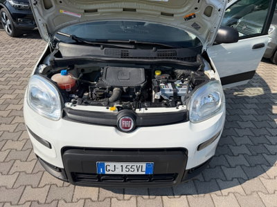 Fiat Panda 1.0 FireFly S&S Hybrid (13)