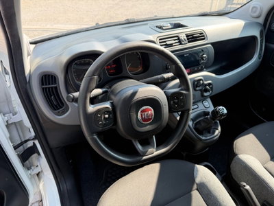 Fiat Panda 1.0 FireFly S&S Hybrid (7)