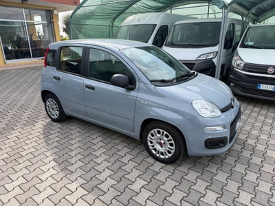 Fiat Panda Cross Cross 1.0 FireFly S&S Hybrid usata