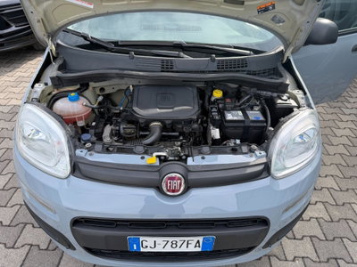 Fiat Panda Cross Cross 1.0 FireFly S&S Hybrid (17)