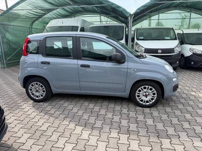 Fiat Panda Cross Cross 1.0 FireFly S&S Hybrid (2)