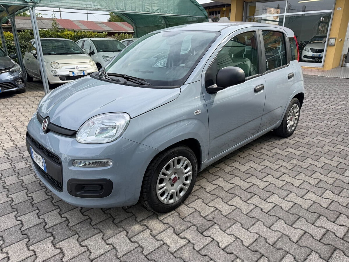 Fiat Panda Cross Cross 1.0 FireFly S&S Hybrid (6)