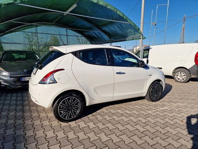 Lancia Ypsilon 1.2 69 CV 5 porte Gold (4)